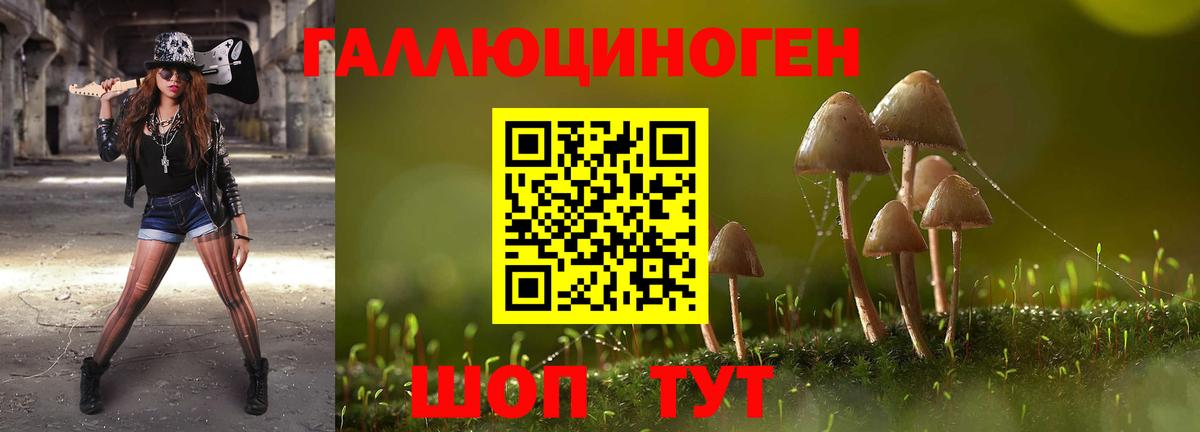 Находка  Галлюциногенные грибы Magic Shrooms  Вход с VPN 